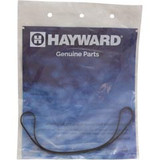 Hayward SPX1600T Gasket, Hayward Max-Flo, Seal Plate, 6-1/2"ID, 6-5/8"OD