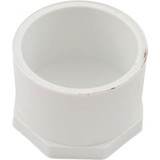 PVC Lasco 2" Slip Plug | 449-020