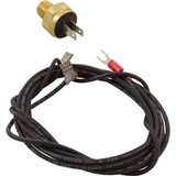 Raypak Hi-Limit Control 140^ 140 Degree | 600893B