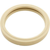 Pentair/American Products 79108500 Lens Gasket, American/Pentair, Spabrite, 4", Off White