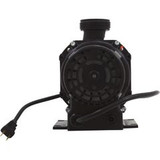 Balboa Pump Gemini Plus II 115V 12.5Amps with Air Switch & Nema Plug Nr4A-C | 0060F88C