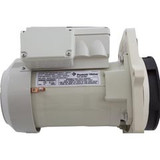 Pentair Skimmer Part Basket Dark Gray | R22113DG