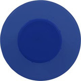 Custom Molded Products Floating Chlorinator Blue | 27052-019-000