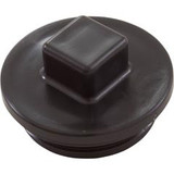 Jacuzzi® Plug, 2" Mpt W/ Oring | 43-3092-02-R