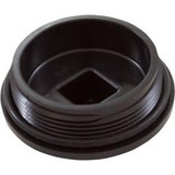 Carvin/Jacuzzi® 43-3092-02-R Plug, Carvin MD Series, 2", with O-Ring