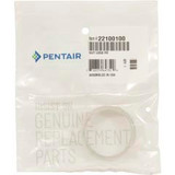 Pentair 22100100 Nut Lens Fo