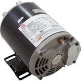 Nidec Motor Corp AGL75FL1 Motor, Nidec/US Motor, 0.75hp, 115v, 1-Speed, 48Y Frame