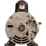 Waterway 1-1/2" Center Inlet & Discharge Exact Replacement for Older Center Discharge Pumps | 3410410-15