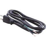 Raypak 011609F Line Cord, Raypak 130A