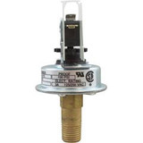 Pentair/Sta-Rite 473716Z Pressure Switch, 3A, Pentair Max-E-Therm/MasterTemp, ASME