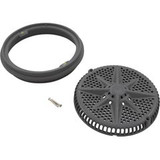 Pentair Pool Products 500101 Main Drain Grate,PentairStarGuard,8",112gpm,Dark Gry,Lg Ring