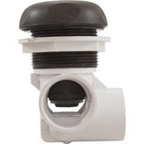 Waterway Plastics 600-4389-DSG Horizontal On/Off Turn Valve Assembly - Dsg