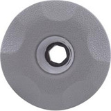 Waterway Plastics Jet Intl, WW Ozone Cluster, 2"fd, Fixed, Textured Scal, Gry | 215-9837