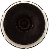 Waterway Plastics 650-3100 Flush Air Button, Polished S/S