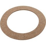 Hayward Gasket, Hayward, Inlet Fitting, Fiber | SPX1023Z3