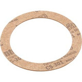 Hayward SPX1025Z3 Gasket, Hayward, Inlet Fitting, Slip