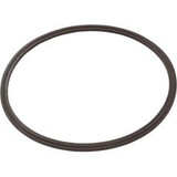 Zodiac Pool Equipment Seal O-Ring for Leaf Catcher | R0623300