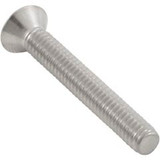 Pentair Pool Products 510543Z Screw, Main Drain Grate, Pentair StarGuard, Quantity 2