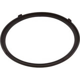 Pentair Gasket, Pentair AquaLumin III, Light Lens | 619599Z