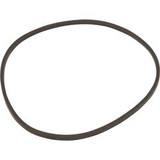 Pentair O-Ring, PacFab/Pentair Challenger/Waterfall,Trap Lid,Square | 152509Z