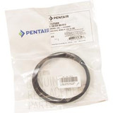 Pentair O-Ring, PacFab/Pentair Challenger/Waterfall,Trap Lid,Square | 152509Z