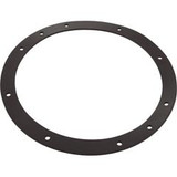 Aladdin Equipment Co Gasket, Sta Rite, Vinyl Liner, Light Niche, Generic | G-435