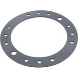 Speck 2308750005 Gasket, Speck Badu Stream II Jet, For Clamping Ring