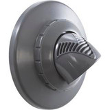 Infusion Pool Products VRFSAF1DG Inlet Fitting, Infusion Vent., 1" Insidr Gluelss,w/Flg,DkGry