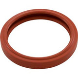 J&J Electronics LPL-M-G-P Gasket, SpaBrite Lens, Silicone, Generic