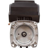 Nidec Motor Corp NPTQ125 Motor, US Motor Neptune, 1.25thp, SQFL,Var-Spd,115/230v,48Y