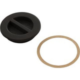 Custom Molded Products 25542-004-000 1.5In Npt Flat Plug, Black