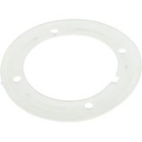 Waterway Plastics Faceplate Gasket Vinyl Liner Return W/F R1 | 711-7320