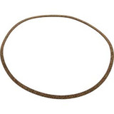 Pentair Gasket, Pentair, J-Series High Head, Volute | C20-122