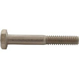 Pentair/American Products 070979 Bolt, Pentair American Products Bronze, Volute, 20 x 1-3/4"