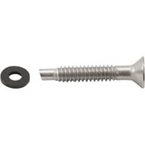 Pentair Light Pilot Screw, American Products, Amerlite, SS | 619355Z