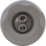 Waterway Plastics Jet Intl, WW Mini Storm,3"fd,Twin Roto,Textured Scal,Gry | 212-6927