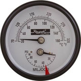 Raypak T & P GAUGE (H) | 007205F