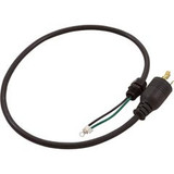 Sta-Rite Cord, L5-20P, w/ Twist Lock Plug, 36" | 31953-0101