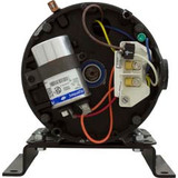 Speck Motor, Speck, 0.5 Horsepower, 115v/230v, 1 Speed, 21-80/30 G | 0818488300