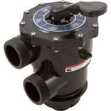 Pentair Multiport Valve, Pentair TA60, SD80, CFII26, TM, 2", w/o Unions | 263085