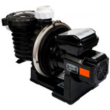 Pentair Sta-Rite Max-E-Pro 1 HP High Efficiency Pump | 348185