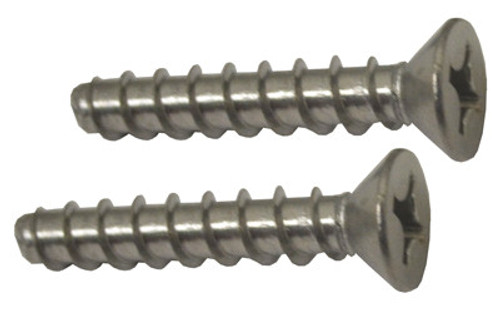 Hayward SPX1030Z1A Av Screw 2Pk