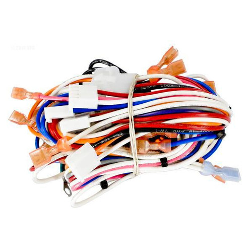 Hayward Wire Harness Main 240V Low Nox |  IDXLWHM1930