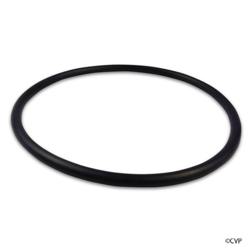 Aladdin Pentair Challenger Seal Plate O-Ring Front Housing Challenger | O-419-9