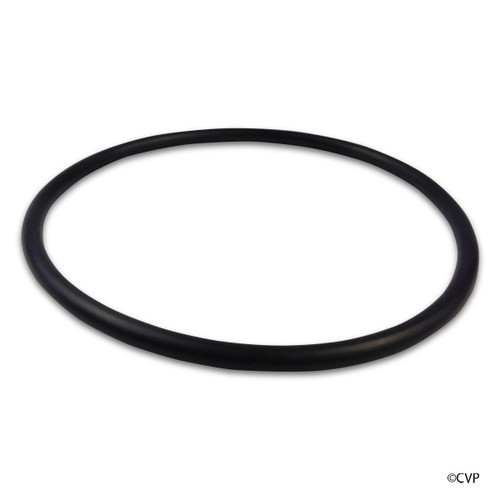 Aladdin Seal Plate O-Ring U9-373 | O-469-9