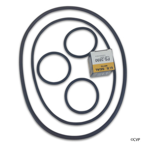 Matrix Hayward Northstar Pump Seal Kit Proffesional Gokit, Go-Kit | MTX8066