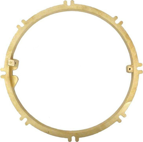 Pentair 79211600 Large Stainless Steel Niches Plaster Ring, Concrete , Brass