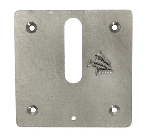 Polaris Zodiac Jandy Brass Cover Plate For Ffmj | MJ6370