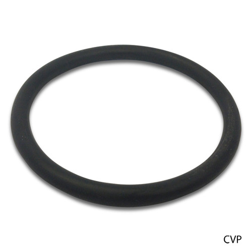 JANDY NEVERLUBE OEM Oring #2-154 COVER |  R0465700