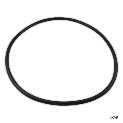 Clearwater Lm3 Cell O-Ring | W150181